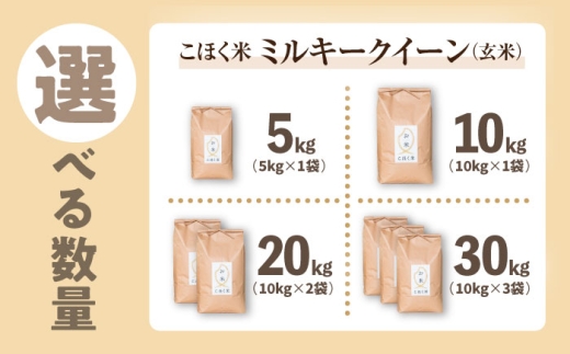 【スピード発送】【令和7年産】米 湖北産 ミルキークイーン 5kg 玄米 長浜市/エース物産 [AQAK009] 米 お米 ご飯 玄米 ミルキークイーン 近江米 滋賀県産 長浜市産 こめ 玄米 お米 食品 国産 炊きたて 米ギフト もちもち ブランド米 食卓 人気 ごはん ご飯 おにぎり 炊き込みご飯 おすすめ