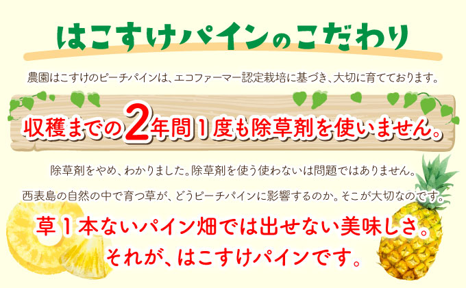 定期便 2ヶ月 2026年 先行予約 ピーチパイン 約9.5kg 絶品 ★たっぷり大家族サイズ★ 西表島 初エコファーマー認定 パイン 果物 フルーツ 2回 お楽しみ