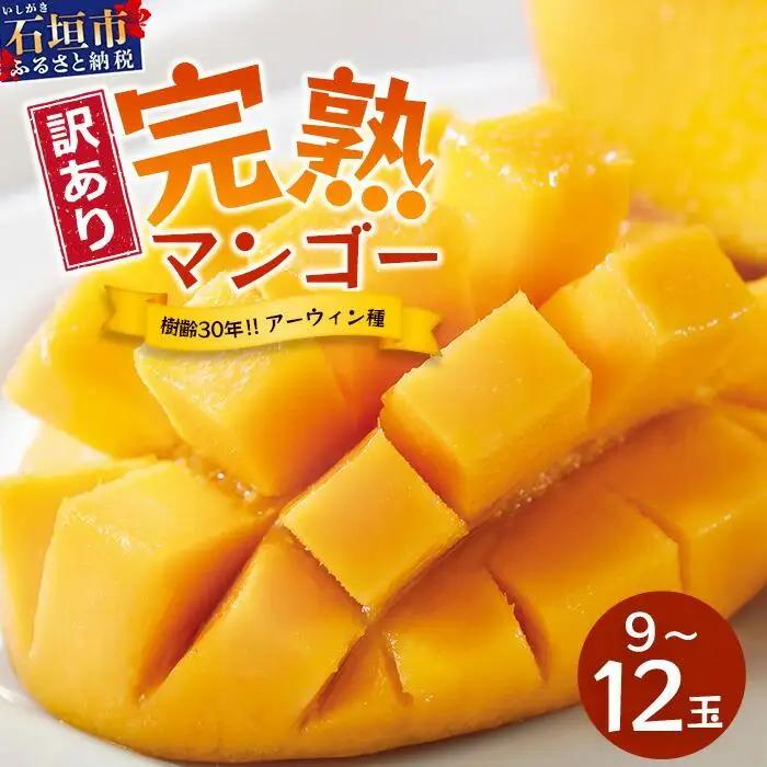 【訳あり】石垣島産 マンゴー (アーウィン種)  9～12玉(箱含め約5kg)  TP-3