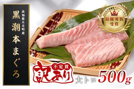【訳あり】本マグロ 大トロ500g 不定貫 養殖マグロ 高知県産 指定日発送可能