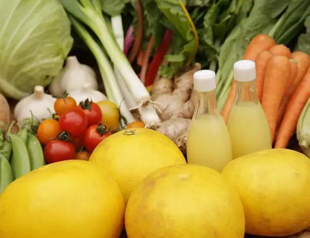 〈土佐野菜〉旬の野菜の詰め合わせと栽培期間中に農薬不使用の生姜200g付き 高知県土佐市 【株式会社SIMA】 [BQAZ001]