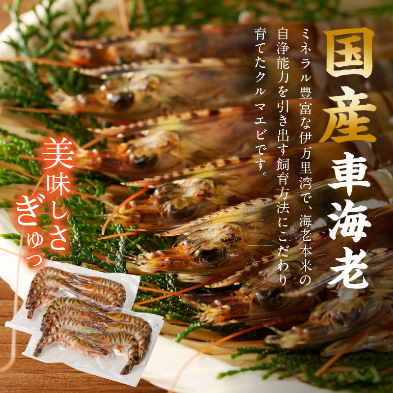 伊万里産 冷凍車海老（訳あり、加熱用、250gx5pc） 010-C0262