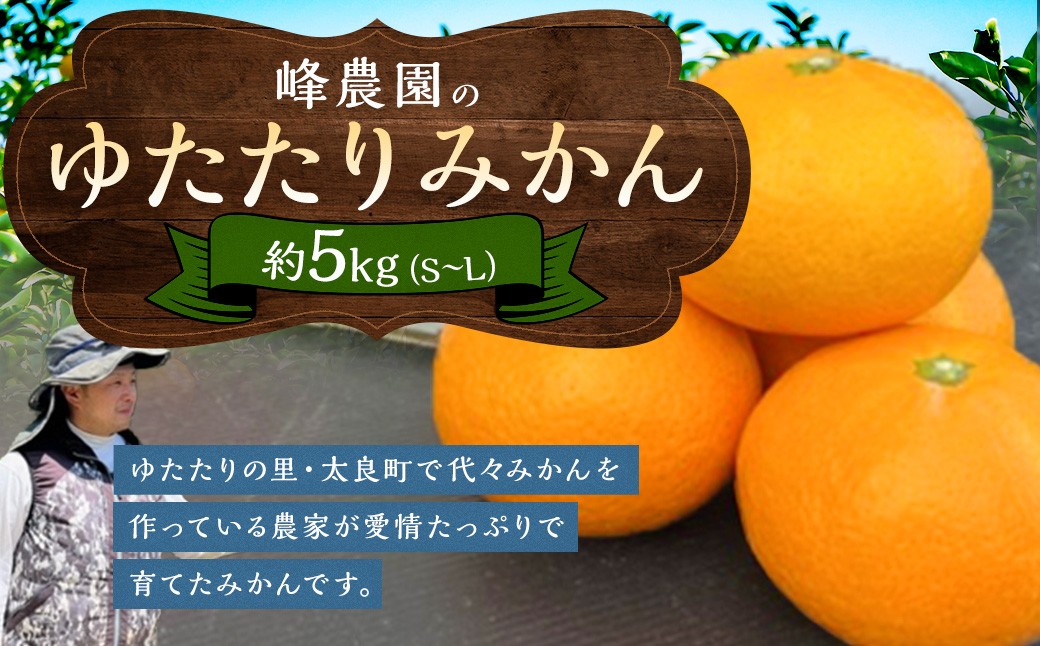 
                  峰農園のゆたたりみかん  5kg 温州 みかん ミカン 蜜柑 温州蜜柑 温州ミカン 早生 フルーツ くだもの 果物 ミネラル豊富 国産 産地直送 贈答用 お中元 お歳暮 月の引力が見える町 太良町 ふるさと納税 返礼品 さがみかん 太良みかん 美味しい 多良岳山系の水 有明海の潮風 佐賀県 太良町 N253x1【2026年11月上旬-2027年1月下旬発送予定】
                