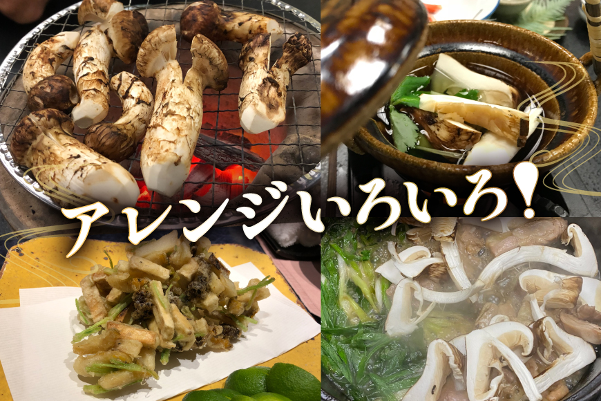 【ふるさと納税】 三田 松茸 つぼみ 約420g (5〜7本) まつたけ 秋の味覚 きのこ キノコ 旬の野菜 贈答品 お歳暮 新年 年末 贈り物 ギフト 食品 ギフト  ふるさと納税 ふるさと 人気 