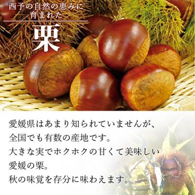 ふるさと納税 西予市 愛媛県西予市産　栗　2kg |  | 01
