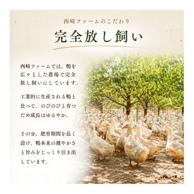 鴨鍋の素4人前 鴨スープ1kg＆鴨モモ肉2羽分(計800～900g)| 鴨 かも 茨城県かすみがうら【配送不可地域：離島】