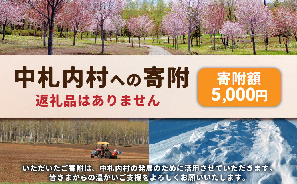 
            中札内村への寄附（返礼品はありません） 1口 5,000円 北海道 中札内村 寄附のみ 寄附 [038-0017]
          