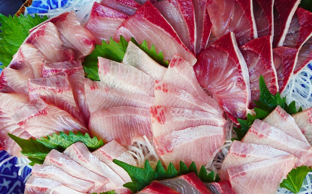 長崎近海 活き〆天然寒ぶり8kg台 (8.2kg〜8.8kg) 丸ごと1本！！