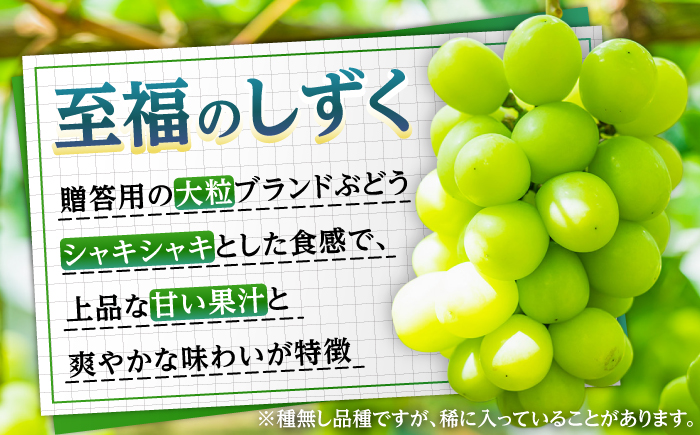 【先行予約・9月発送】 日田産シャインマスカット 1房 約700g　〜至福のしずく〜　日田市 / 松岡果樹園 [AREJ001]