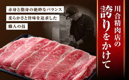 【定期3回】肉 牛肉 黒毛和牛 切り落とし 700g (350g×2) 福島県 田村市
