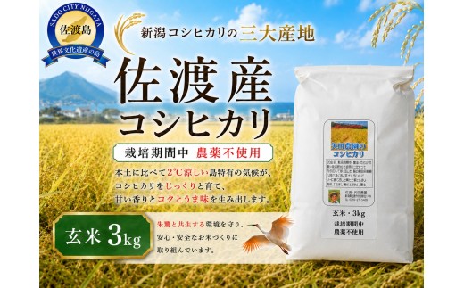 【令和8年産】佐渡産コシヒカリ 玄米3kg 在来種 栽培期間中 農薬・化学肥料不使用 矢田農園 | 新潟県産コシヒカリ 新潟産コシヒカリ 佐渡産コシヒカリ 新潟県産こしひかり 佐渡産こしひかり 在来種 お米 米 こしひかり 玄米 げんまい おこめ コメ 3キロ 農家直送 にいがた さど 新潟県 佐渡市