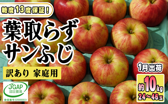 1月発送【糖度保証】家庭用 葉取らず サンふじ 約10kg【訳あり】【鶴翔りんごGAP部会 青森県産 津軽産 リンゴ 林檎】