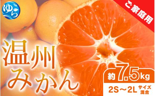 【先行予約】家庭用 温州みかん 約7.5kg ※2025年11月中旬頃～2025年12月中旬頃に順次発送  / 農家直送 くだもの  果実  柑橘 果物 フルーツ 国産 和歌山県 由良町 ご家庭用 人気 おすすめ【nktn004】