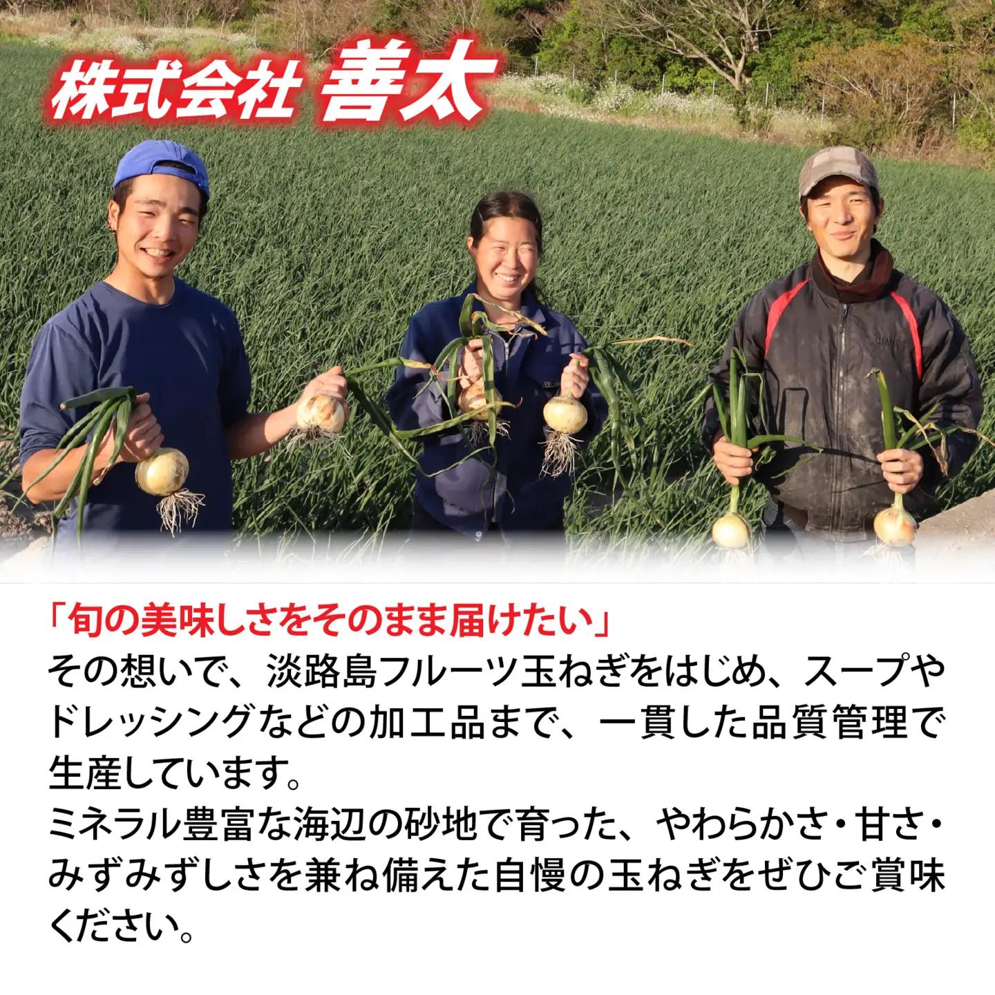 【先行予約】淡路島産 新玉 フルーツ玉ねぎ 8kg【サイズ色々】 / 玉ねぎ