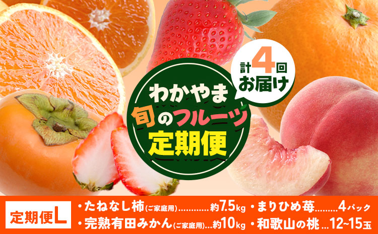 わかやま旬の フルーツ 定期便 【全4回】内容量 L 有田マルシェ《発送月固定・全4回出荷》 和歌山県 日高町 苺 いちご 柑橘 オレンジ 小玉 みかん 有田 みかん たねなし柿 柿 桃 モモ もも 