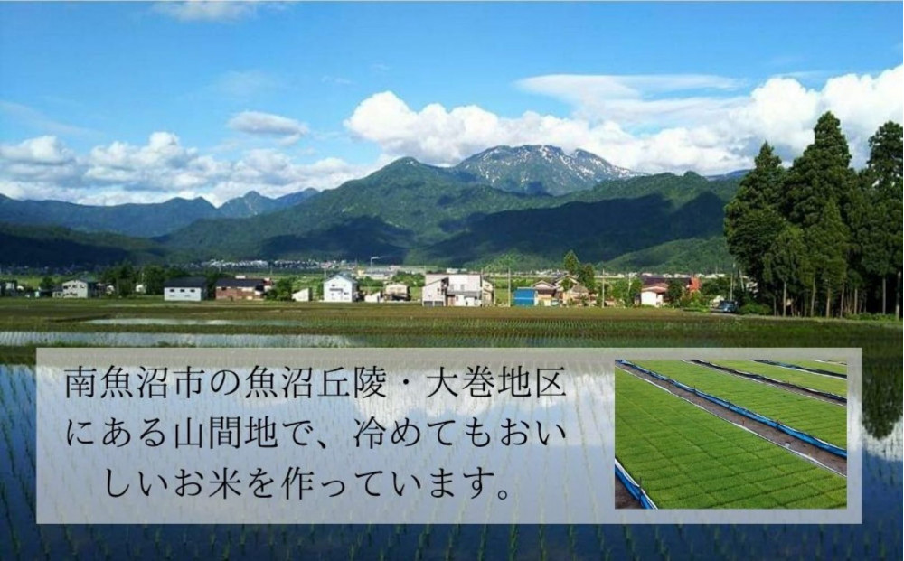 【令和7年産新米予約】南魚沼産コシヒカリ特A（精米5kg）【2025年10月下旬より順次発送予定】