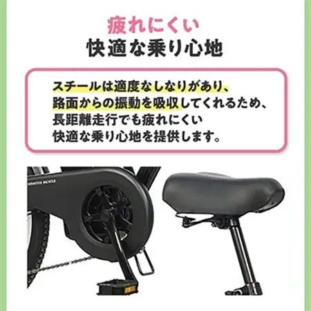 PELTECH 20インチ 折り畳み電動アシスト自転車 外装6段変速【簡易組立必要品】マットブラック【配送不可地域：沖縄県】【1672080】