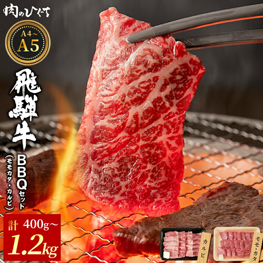 【ふるさと納税】 飛騨牛 BBQセット（カルビ・モモカタ） 400g～1.2kg A5 A4 国産 牛 冷凍 和牛 牛肉 カルビ もも モモ カタ 肩 かた 豪華 ギフト 贈答 にく お肉 肉 東白川村 岐阜 飛騨 贅沢 霜降り 赤身 肉のひぐち