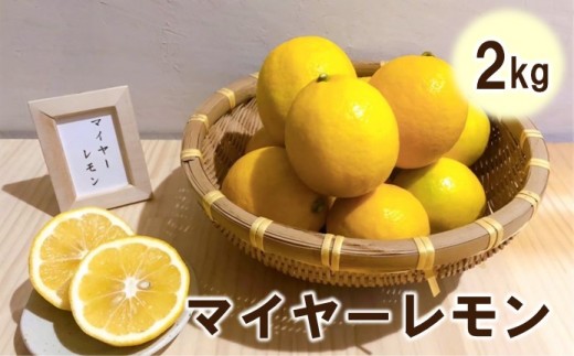 
                  マイヤーレモン2kg 227-B1196
                