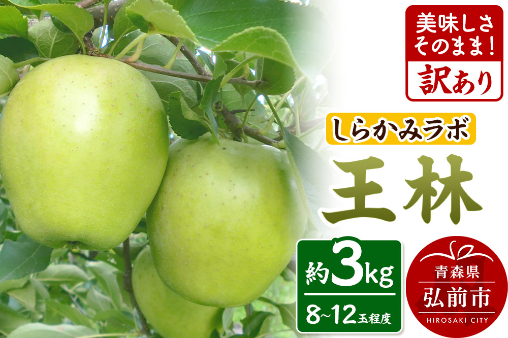 【25年12月～発送】りんご 王林【訳あり】3kg しらかみラボ