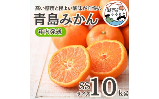 ＜年内発送＞＜12月中旬より順次出荷予定＞青島みかん約10kg SS〔鈴木農園〕【1510091】