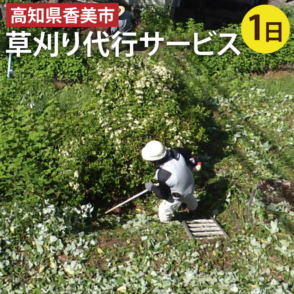 【ふるさと納税】【事前見積】高知県香美市草刈り代行サービス 1日 見積 見積もり 香美市内 草刈 草刈り くさかり 草刈り作業 地域密着 庭 空き家 土地 空き地 空地 宅地 親孝行 お助け 代行 サービス 安心サービス 代行サービス 高知県 香美市