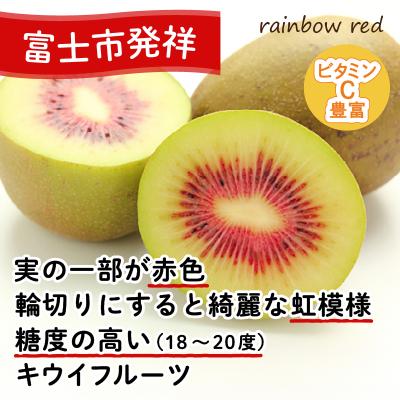ふるさと納税 富士市 キウイフルーツ(レインボーレッド)3kg [1010] [sf001-007] |  | 01