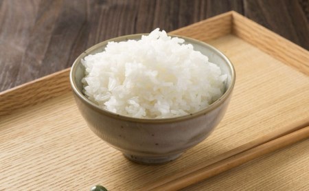 【令和7年産】茨城県産コシヒカリ20kg（10kg×2袋）精米JA茨城むつみ _CL06 ※2025年10月下旬頃より順次発送予定
