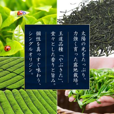 ふるさと納税 日向市 日本茶AWARD プラチナ賞受賞茶　煎茶「晟」70g×3本 |  | 01
