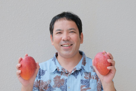 【2025年9月より順次発送】【3回定期便】沖縄フルーツ定期便（9・10・11月コース）｜フルーツ くだもの 果物 スターフルーツ ドラゴンフルーツ バナナ 名護パイン園 定期便 フルーツ定期便 沖縄