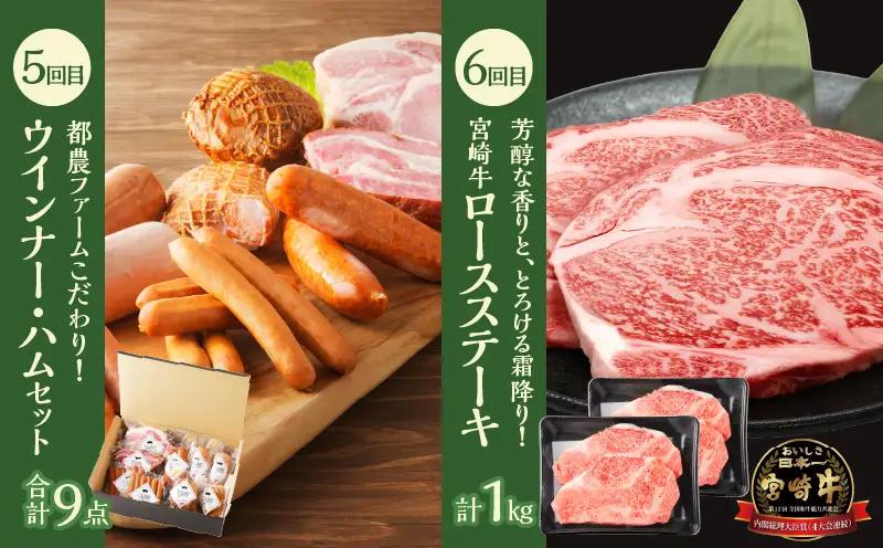 ≪6か月お楽しみ定期便≫都農町定期便(松) 肉 加工品 鰻 国産_T999-0076