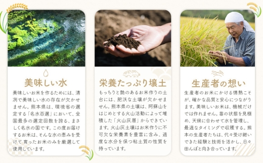 米 南関町 せきゆらり 白米 5kg《7-14日以内に出荷予定(土日祝除く)》熊本県産 国産 白米 こめ コメ 5キロ