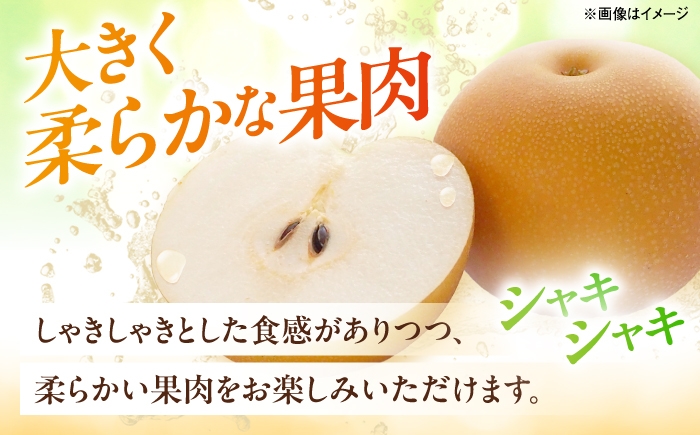 なし ナシ 和梨 果物 フルーツ 国産 甘い ジューシー 愛媛 愛媛県 四国 ふるさと納税 お取り寄せ