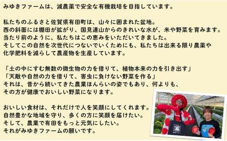 【2025年2月～順次発送】みゆきファーム 有田いちご 1kg お徳用いちご ちょっと小粒（2L～Mサイズ）250g×4パック 朝摘み完熟いちごを即日発送！ / いちごさん F8-8