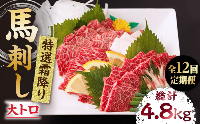 
            【12回定期便】特選霜降り馬刺し（大トロ）計400g（4pc）＋タレ大【馬刺しの郷 民守】 特産品 霜降り 霜降り馬刺し タレ付き馬刺し 特産  [ZBL101]
          