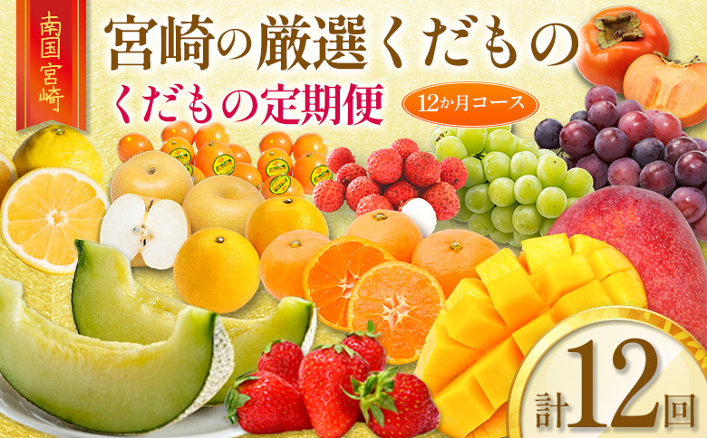 青果店チョイス！くだもの定期便Vol.4（全12回）国産 フルーツ 果物 1年間 毎月お届け 産地直送【F147】