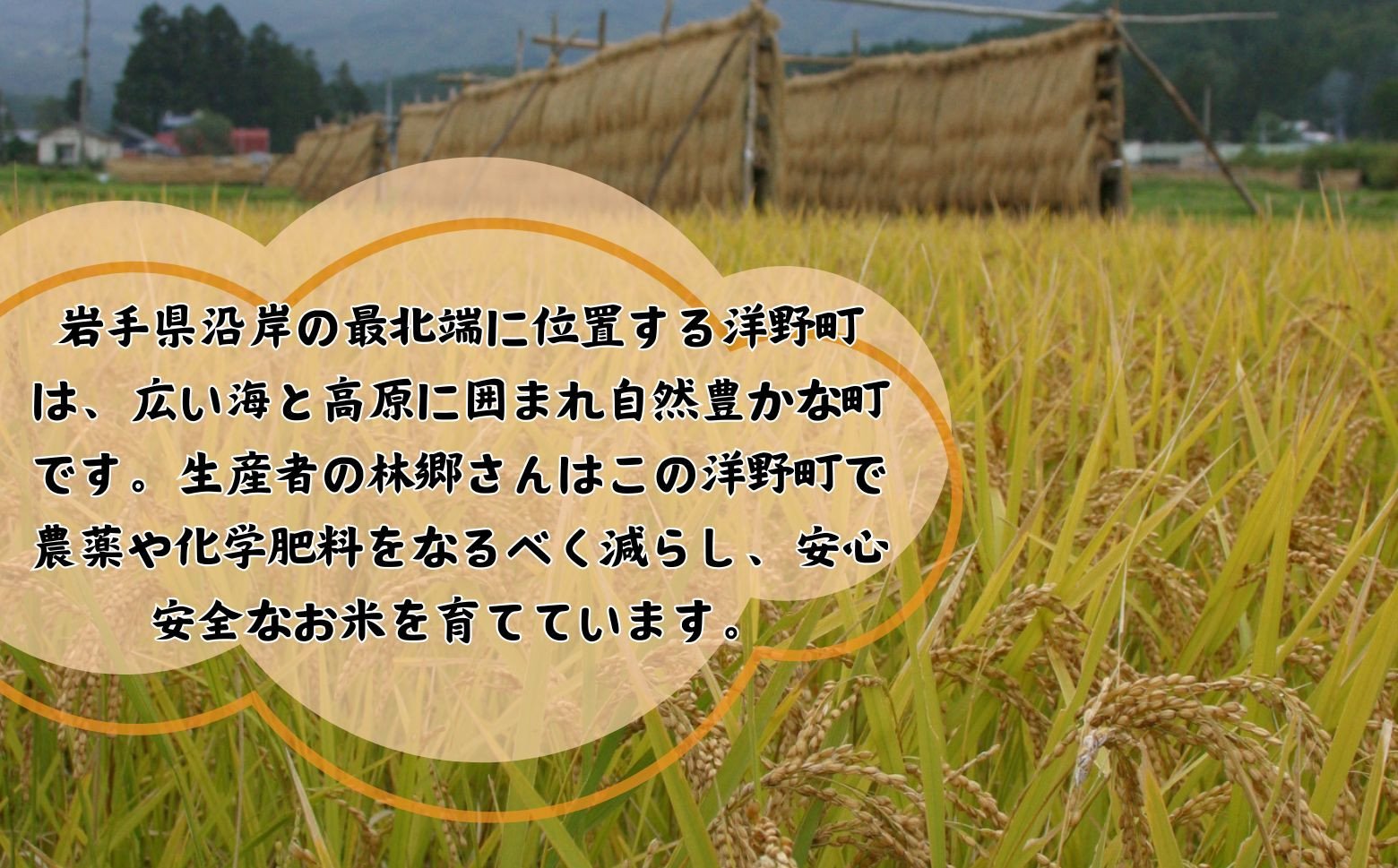 広い海と高原に囲まれた自然豊かなまちで育てられています