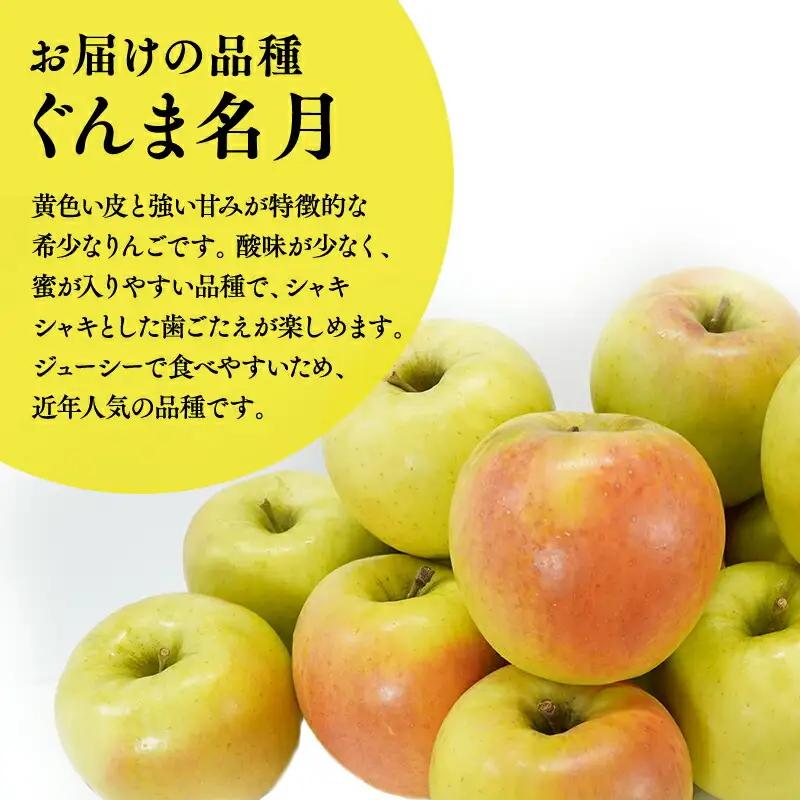 りんご 家庭用 ぐんま名月 約3kg 青森県平川市産 りんご