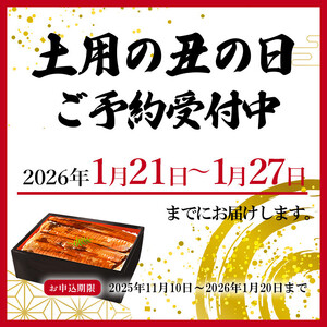 大型サイズ　ふっくら柔らか　国産うなぎ蒲焼き　2尾　化粧箱入【土用の丑の日のうなぎ】【～7月24日までにお届け】【UT05】