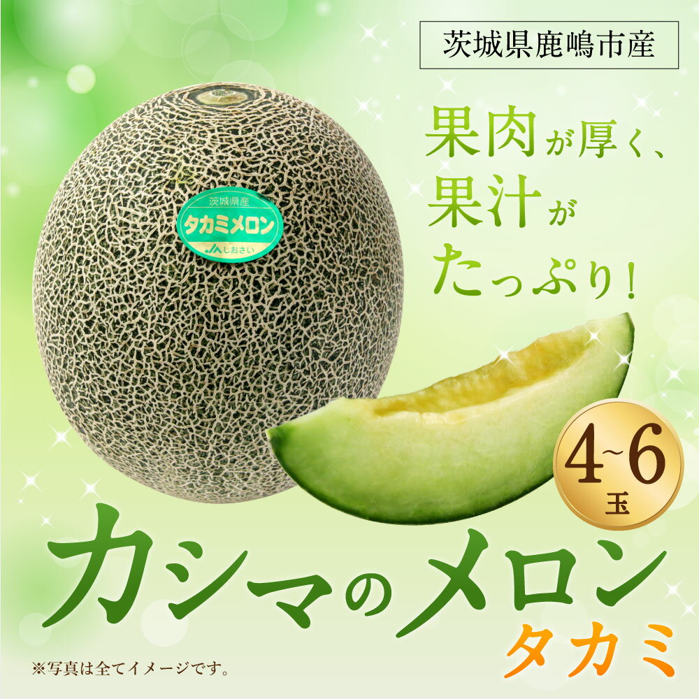 【ふるさと納税】カシマのメロン　タカミ　4～6個 （KA-13）