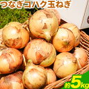 【ふるさと納税】玉ねぎ つなぎコハク玉ねぎ 5kg《4月中旬-5月中旬出荷》熊本県 葦北郡 津奈木町 つなぎ琥珀玉ねぎプロジェクト 野菜 たまねぎ