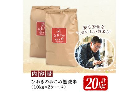 No.599 国産！鹿児島県産ひおきのおこめ無洗米20kg(10kg×2)【正留産業】