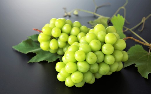 ぶどう（シャインマスカット）１房　0060-2612