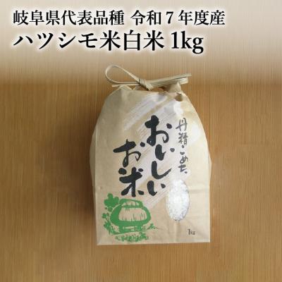 ふるさと納税 関市 【岐阜県代表品種】令和7年産ハツシモ米　白米1kg【12月1日以降順次発送】