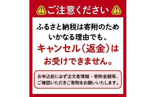 [先行予約] 訳あり トマト 高糖度 甘い 700g フルーツトマト ミニトマト 野菜 果物 濃厚 産地直送 とれたて 徳用 大きさ不揃い ごほうびとまと 株式会社風の子ファーム 埼玉県 羽生市