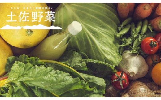 『定期便 全12回』無農薬生姜200gと旬の野菜の詰め合わせ【土佐野菜】   | 野菜セット セット 野菜定期便 新鮮 野菜 毎月  人気 おすすめ 高知県 南国市
