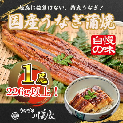 【ふるさと納税】【冷凍1尾】岬町自慢の味　うなぎの川島家　国産うなぎ蒲焼　特大サイズ(226g以上)特製タレ付き【配送不可地域：離島】【1488342】