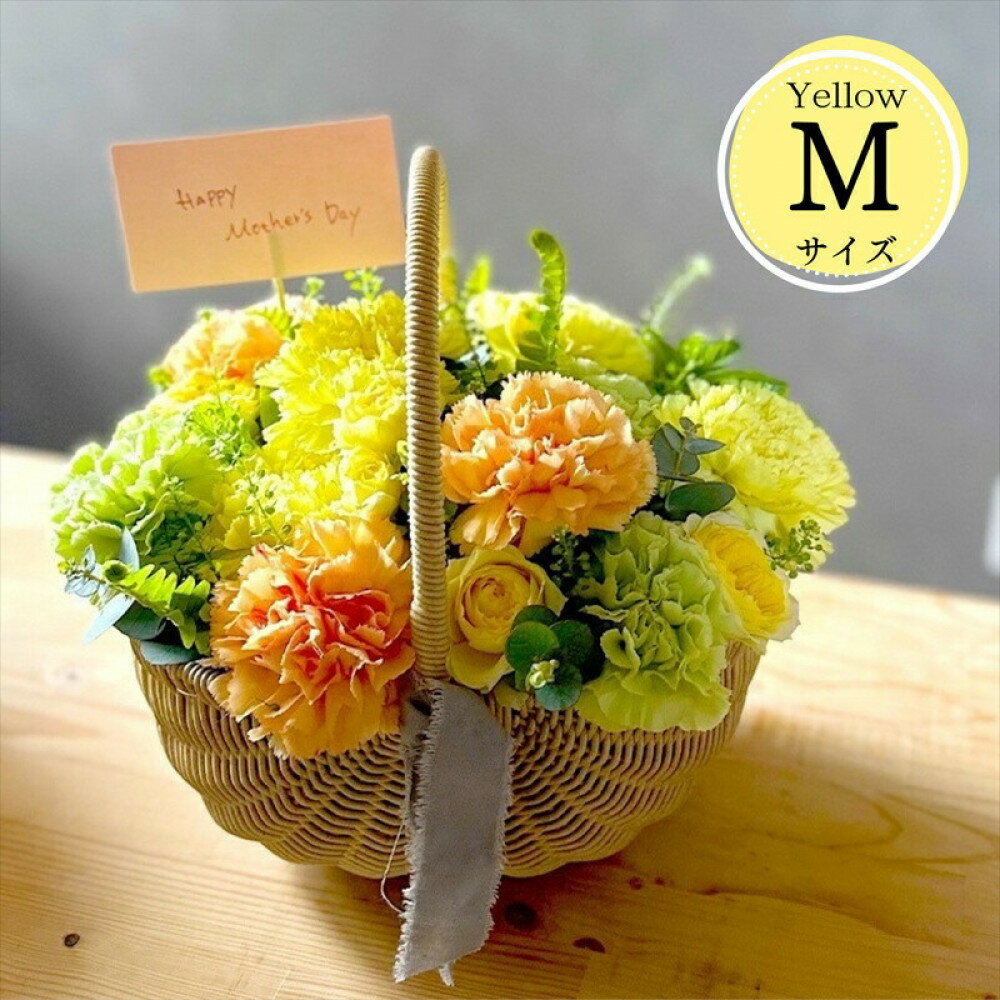【ふるさと納税】《母の日限定》カーネーションのバスケットアレンジメント(Mサイズ)イエロー系＜出荷時期：2025年4月～5月中＞【 花 お花 神奈川県 小田原市 】