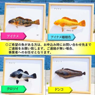 ふるさと納税 山田町 手作り 本物そっくり魚の模型 6点 |  | 03