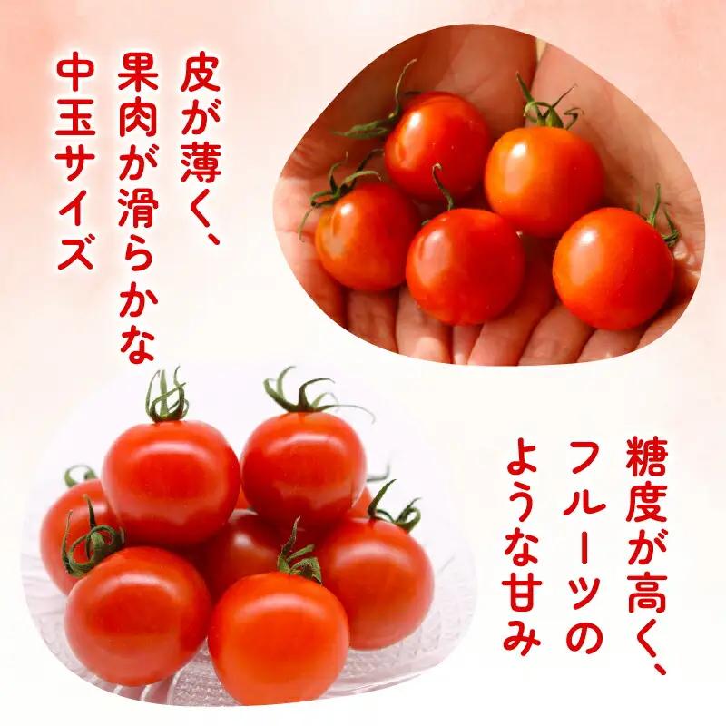 【フルティカトマト】トマト 1kg 先行予約 